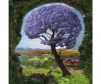 From Nature to Culture – Loss of Resilience.